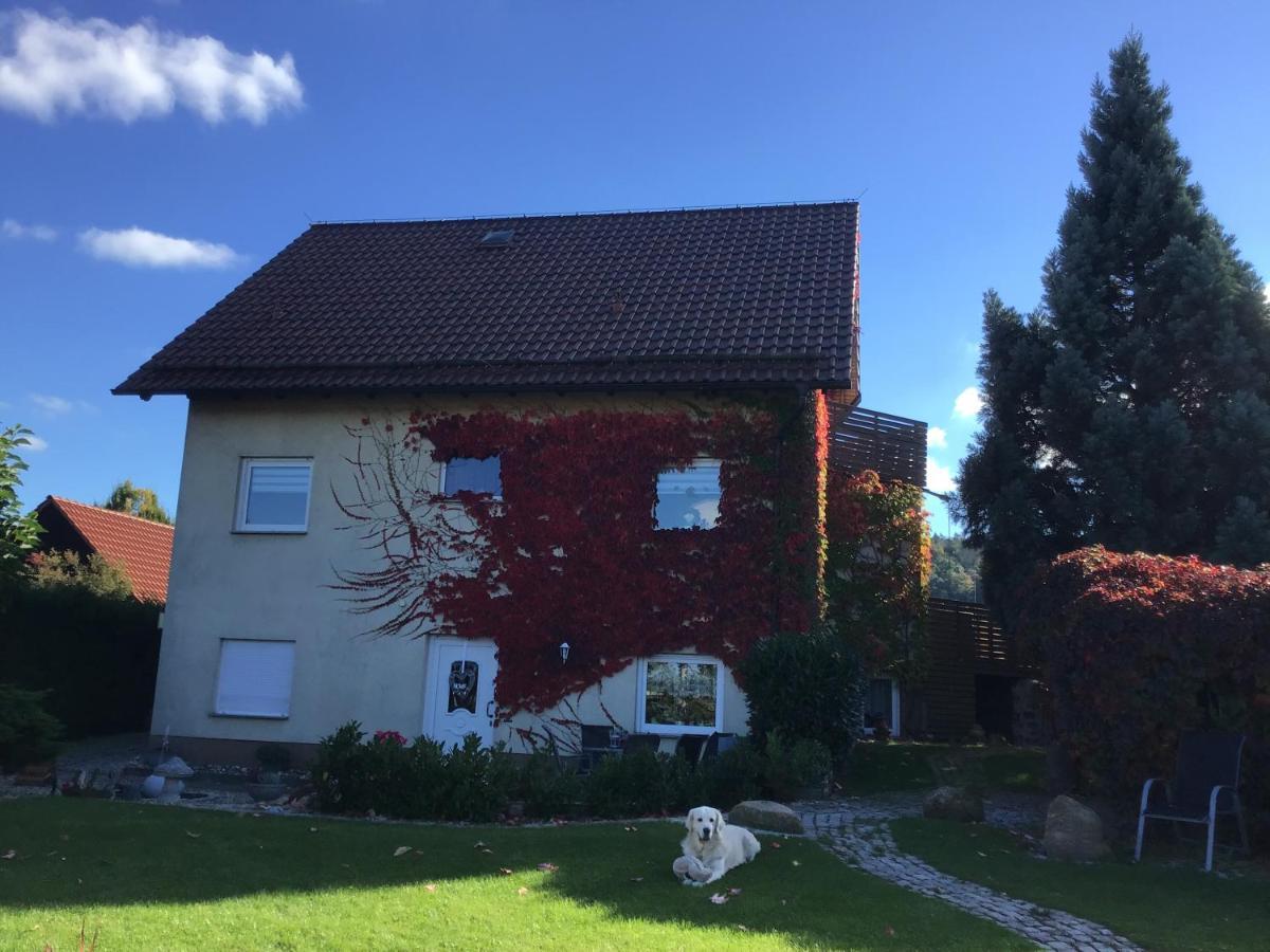 Ferienwohnung Elli Gernrode  Luaran gambar